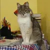 Отзыв от Катюша Фирсова